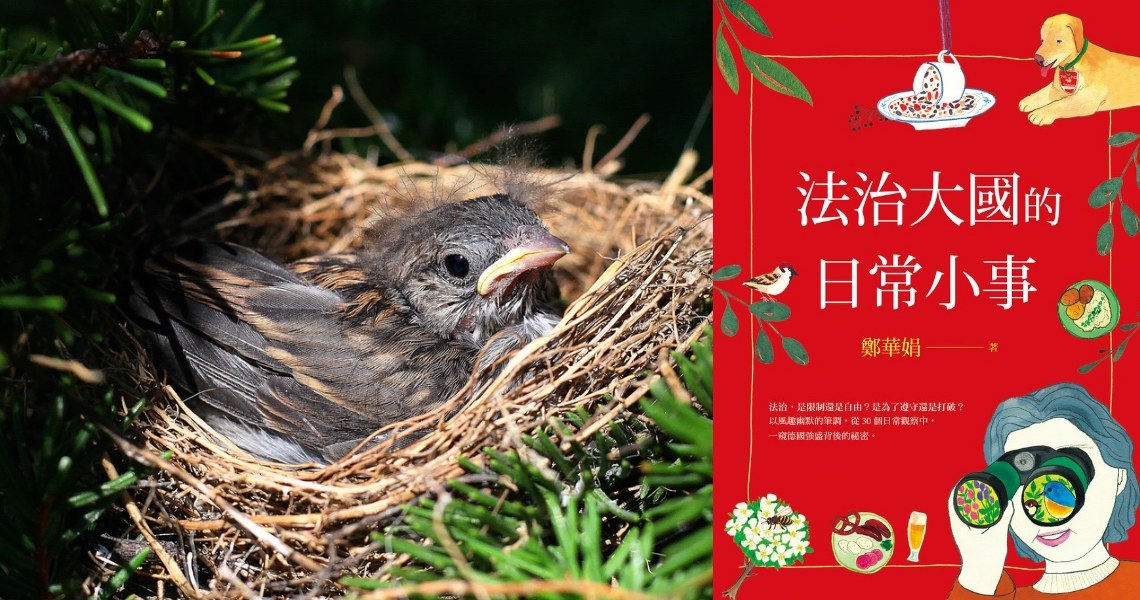 [問卦]德國3-9月不准修剪鳥類築巢的樹。台灣呢? 
